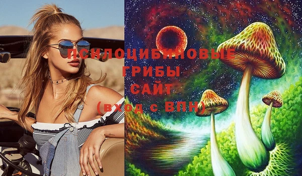 таблы Алзамай