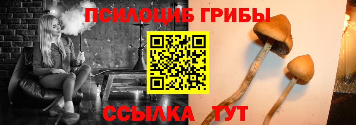 Псилоцибиновые грибы мухоморы  Вход с VPN  цены   Кореновск  Псилоцибиновые грибы мицелий 